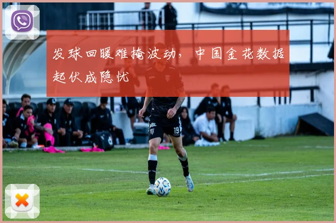 发球回暖难掩波动，中国金花数据起伏成隐忧
