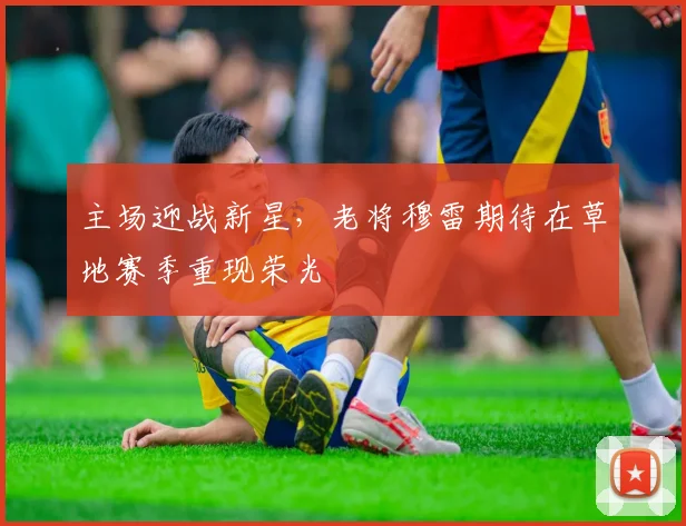 主场迎战新星，老将穆雷期待在草地赛季重现荣光